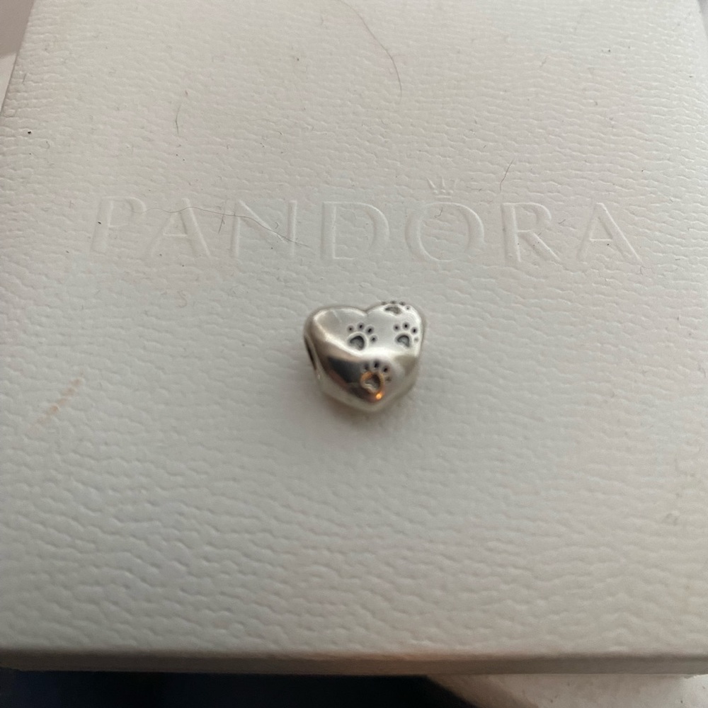 Pandora charms and clips